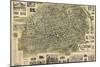 Allentown, Pennsylvania - Panoramic Map-Lantern Press-Mounted Art Print