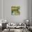 Aller Chartreuse-Patrick St^ Germain-Stretched Canvas displayed on a wall