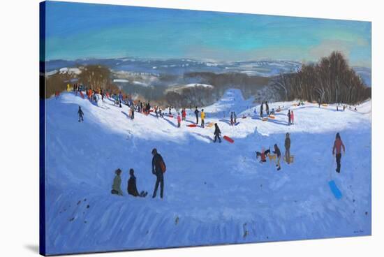 Allestree Park Derby, 2013-Andrew Macara-Stretched Canvas