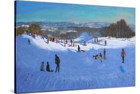 Allestree Park Derby, 2013-Andrew Macara-Stretched Canvas