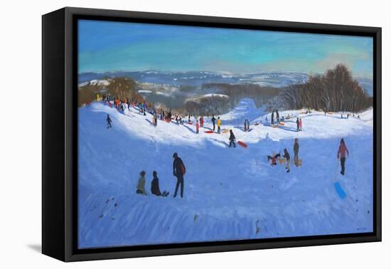 Allestree Park Derby, 2013-Andrew Macara-Framed Stretched Canvas