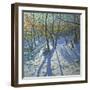 Allestree Park Woods November, 2010-Andrew Macara-Framed Giclee Print