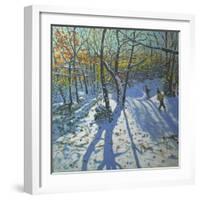 Allestree Park Woods November, 2010-Andrew Macara-Framed Giclee Print