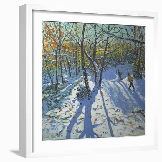 Allestree Park Woods November, 2010-Andrew Macara-Framed Giclee Print