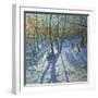 Allestree Park Woods November, 2010-Andrew Macara-Framed Giclee Print