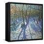 Allestree Park Woods November, 2010-Andrew Macara-Framed Stretched Canvas