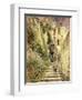 Alley Amalfi-Antonio Mancini-Framed Premium Giclee Print