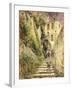 Alley Amalfi-Antonio Mancini-Framed Giclee Print