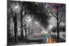 ALLEY BY THE LAKE-Leonid Afremov-Mounted Standard Poster