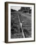 Alley Cat Serenely Walking the Tracks-Walter Sanders-Framed Photographic Print