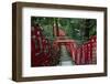 Alley in the Kamakura hills, Honshu, Japan, Asia-David Pickford-Framed Photographic Print