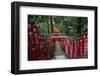 Alley in the Kamakura hills, Honshu, Japan, Asia-David Pickford-Framed Photographic Print