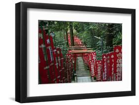 Alley in the Kamakura hills, Honshu, Japan, Asia-David Pickford-Framed Photographic Print