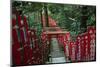 Alley in the Kamakura hills, Honshu, Japan, Asia-David Pickford-Mounted Photographic Print