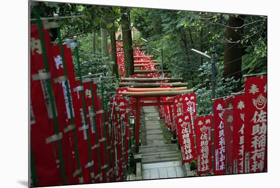 Alley in the Kamakura hills, Honshu, Japan, Asia-David Pickford-Mounted Photographic Print