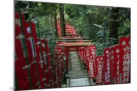 Alley in the Kamakura hills, Honshu, Japan, Asia-David Pickford-Mounted Photographic Print