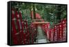 Alley in the Kamakura hills, Honshu, Japan, Asia-David Pickford-Framed Stretched Canvas