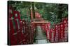 Alley in the Kamakura hills, Honshu, Japan, Asia-David Pickford-Stretched Canvas