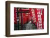 Alley in the Kamakura hills, Honshu, Japan, Asia-David Pickford-Framed Photographic Print