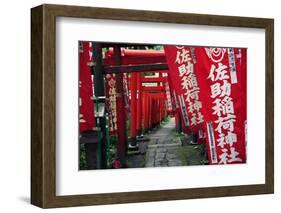 Alley in the Kamakura hills, Honshu, Japan, Asia-David Pickford-Framed Photographic Print