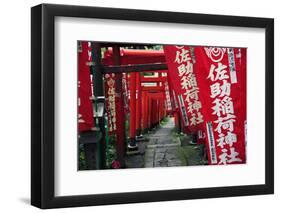 Alley in the Kamakura hills, Honshu, Japan, Asia-David Pickford-Framed Photographic Print