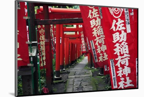 Alley in the Kamakura hills, Honshu, Japan, Asia-David Pickford-Mounted Photographic Print