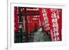 Alley in the Kamakura hills, Honshu, Japan, Asia-David Pickford-Framed Photographic Print