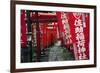 Alley in the Kamakura hills, Honshu, Japan, Asia-David Pickford-Framed Photographic Print