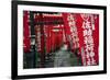 Alley in the Kamakura hills, Honshu, Japan, Asia-David Pickford-Framed Photographic Print