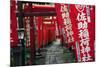 Alley in the Kamakura hills, Honshu, Japan, Asia-David Pickford-Mounted Photographic Print