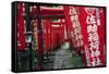 Alley in the Kamakura hills, Honshu, Japan, Asia-David Pickford-Framed Stretched Canvas