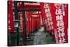 Alley in the Kamakura hills, Honshu, Japan, Asia-David Pickford-Stretched Canvas