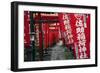 Alley in the Kamakura hills, Honshu, Japan, Asia-David Pickford-Framed Photographic Print