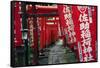 Alley in the Kamakura hills, Honshu, Japan, Asia-David Pickford-Framed Stretched Canvas