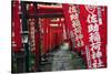 Alley in the Kamakura hills, Honshu, Japan, Asia-David Pickford-Stretched Canvas