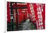 Alley in the Kamakura hills, Honshu, Japan, Asia-David Pickford-Framed Photographic Print