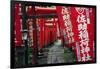 Alley in the Kamakura hills, Honshu, Japan, Asia-David Pickford-Framed Photographic Print