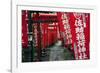 Alley in the Kamakura hills, Honshu, Japan, Asia-David Pickford-Framed Photographic Print