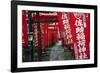 Alley in the Kamakura hills, Honshu, Japan, Asia-David Pickford-Framed Photographic Print