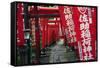 Alley in the Kamakura hills, Honshu, Japan, Asia-David Pickford-Framed Stretched Canvas