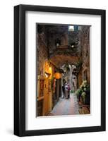 Alley in the Old Town with Flower Arrangements on occasion of the Flower Festival in Dolceacqua-null-Framed Art Print