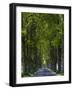 Alley, Island Of Usedom. Germany-Martin Zwick-Framed Photographic Print