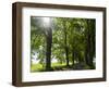 Alley, Island Of Usedom. Germany-Martin Zwick-Framed Photographic Print