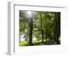 Alley, Island Of Usedom. Germany-Martin Zwick-Framed Photographic Print