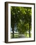 Alley, Island Of Usedom. Germany-Martin Zwick-Framed Photographic Print