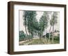 Alley of Poplars Along the Loing, 1892-Alfred Sisley-Framed Giclee Print