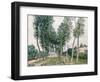 Alley of Poplars Along the Loing, 1892-Alfred Sisley-Framed Giclee Print