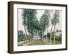 Alley of Poplars Along the Loing, 1892-Alfred Sisley-Framed Giclee Print