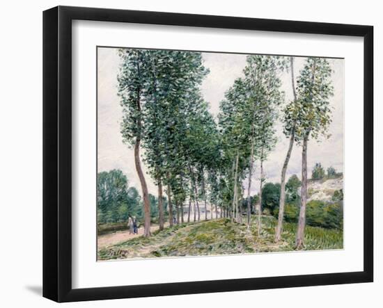 Alley of Poplars Along the Loing, 1892-Alfred Sisley-Framed Giclee Print