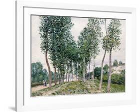 Alley of Poplars Along the Loing, 1892-Alfred Sisley-Framed Giclee Print